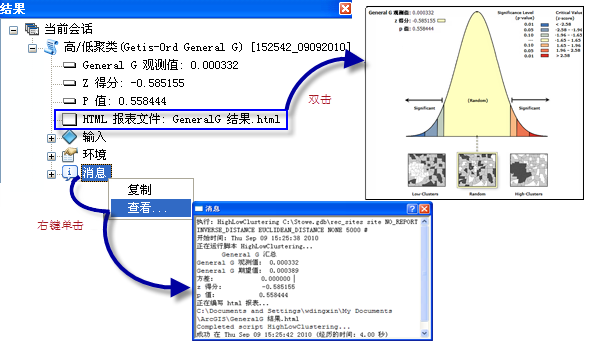 在“结果”窗口中访问此工具的输出结果