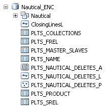 ENC data model