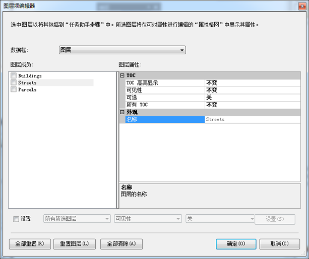 “图层项编辑器”对话框
