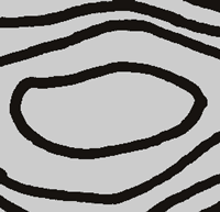 扫描的等高线地图的一部分 扫描的等高线地图的一部分