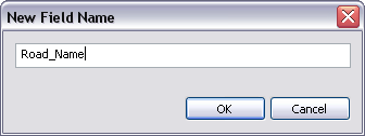 New Field Name dialog box New Field Name dialog box