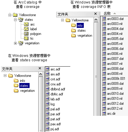 ArcCatalog 和 Windows 资源管理器中的 coverage 内容视图