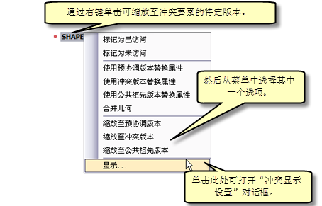 缩放至冲突要素