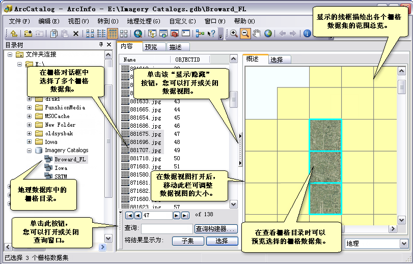 在 ArcCatalog 中浏览栅格目录