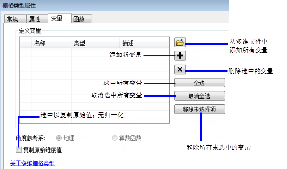 栅格类型属性的变量选项卡