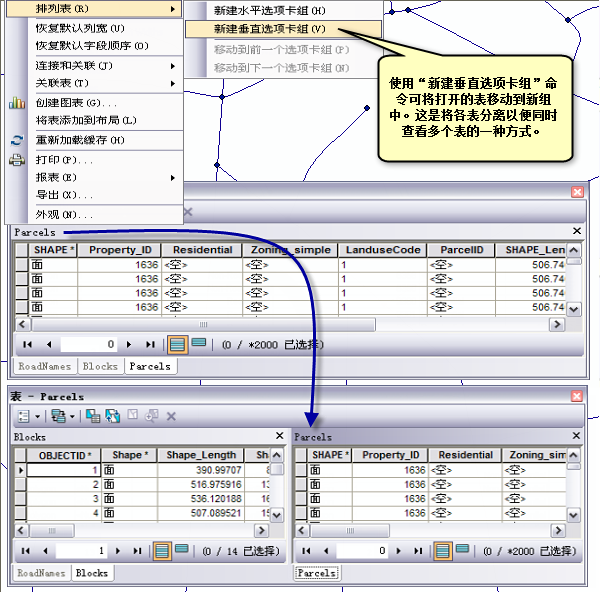 排列 ArcGIS 中的表