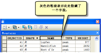 包含隐藏字段的属性表