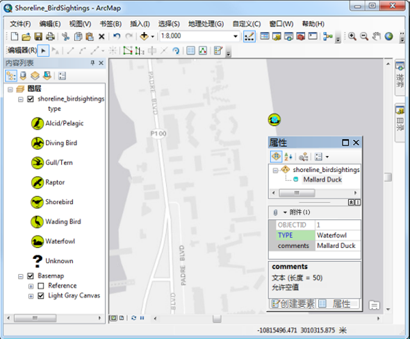 向 ArcMap 显示添加观鸟数据