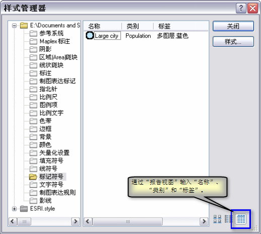 使用“样式管理器”对话框的“报表视图”可指定随符号名称一同显示的类别和标签。