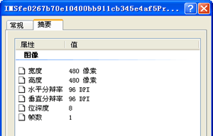 用于填充 5 英寸 x 5 英寸数据框的图像的属性（在 Windows 资源管理器中）