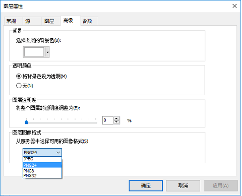 ArcGIS 地图服务图层的“图层属性”对话框上的“高级”选项卡