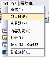 打开 ArcMap 中的“放大镜”窗口