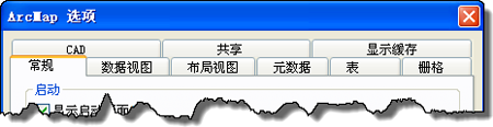 ArcMap 选项选项卡