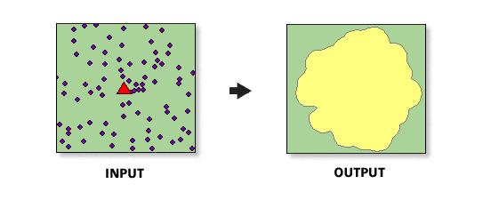 Customer-Derived Amoeba